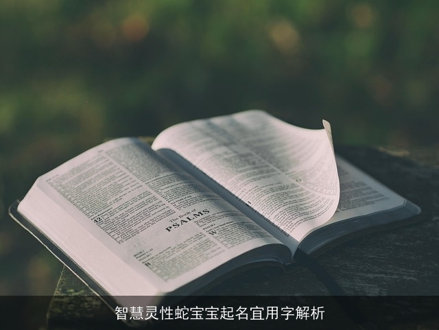 智慧灵性蛇宝宝起名宜用字解析