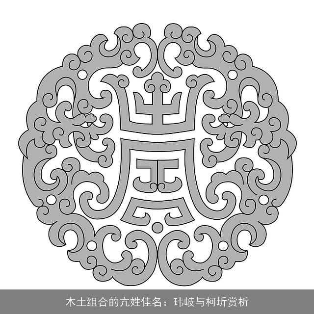 木土组合的亢姓佳名：玮岐与柯圻赏析