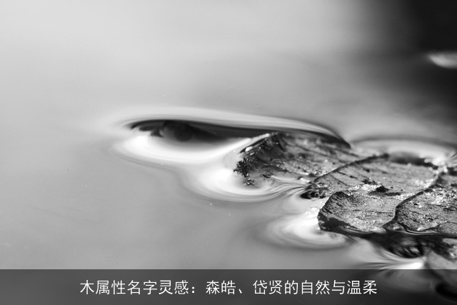 木属性名字灵感：森皓、岱贤的自然与温柔
