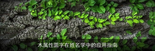 木属性圜字在姓名学中的应用指南