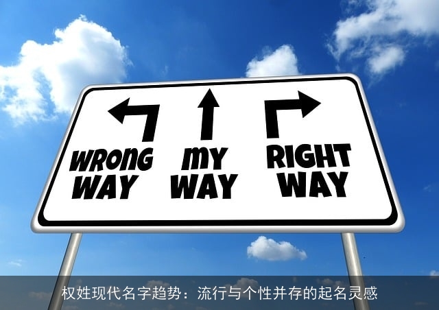 权姓现代名字趋势：流行与个性并存的起名灵感