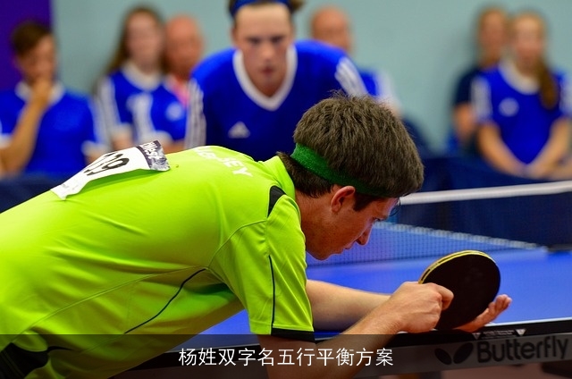 杨姓双字名五行平衡方案