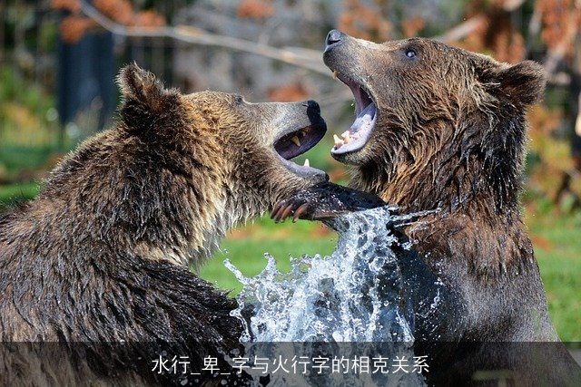 水行_卑_字与火行字的相克关系