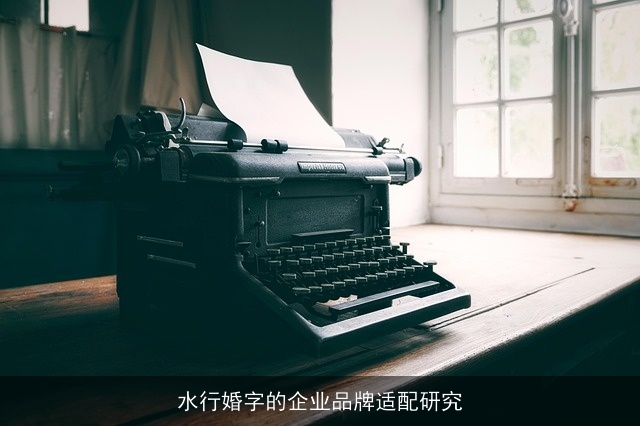 水行婚字的企业品牌适配研究