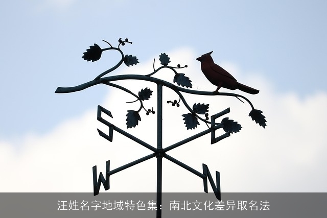 汪姓名字地域特色集：南北文化差异取名法
