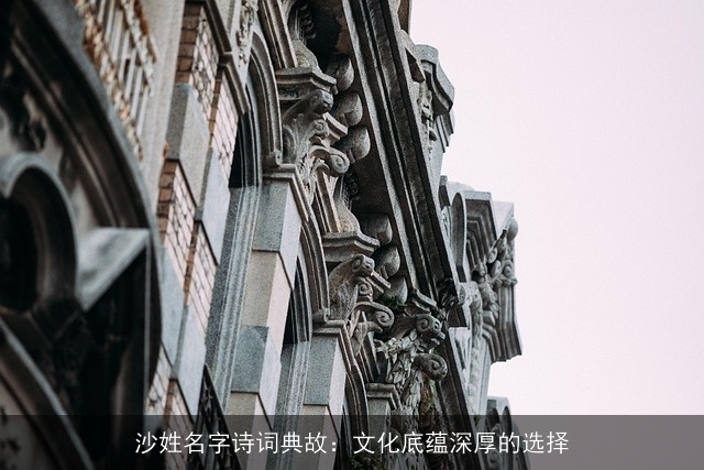 沙姓名字诗词典故：文化底蕴深厚的选择