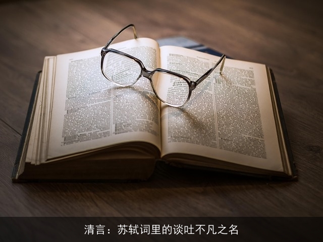 清言：苏轼词里的谈吐不凡之名