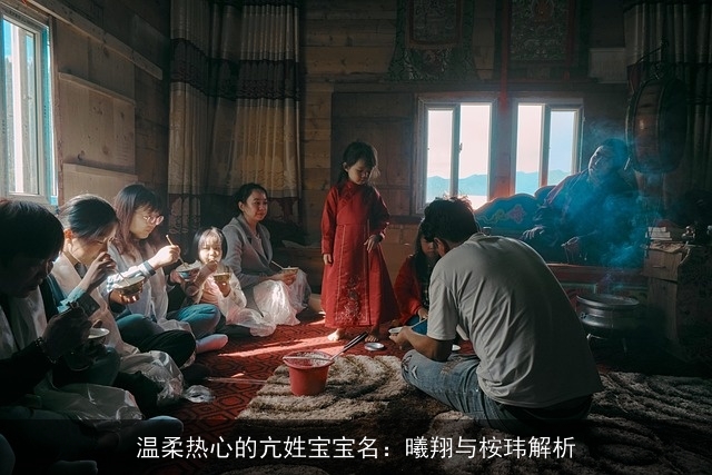 温柔热心的亢姓宝宝名：曦翔与桉玮解析
