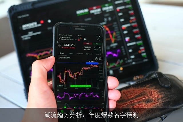 潮流趋势分析：年度爆款名字预测