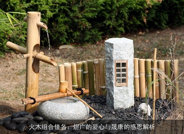 火木组合佳名：煜广的爱心与晟康的感恩解析