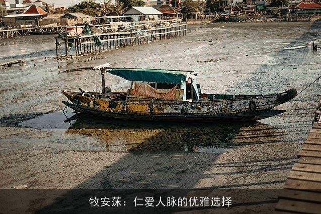 牧安莯：仁爱人脉的优雅选择