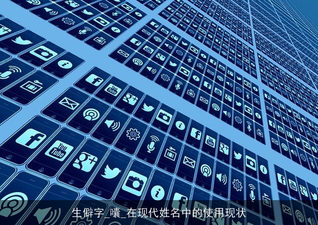 生僻字_囔_在现代姓名中的使用现状