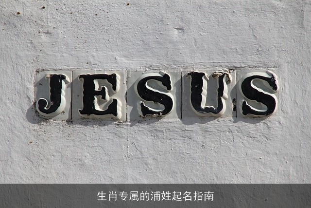 生肖专属的浦姓起名指南