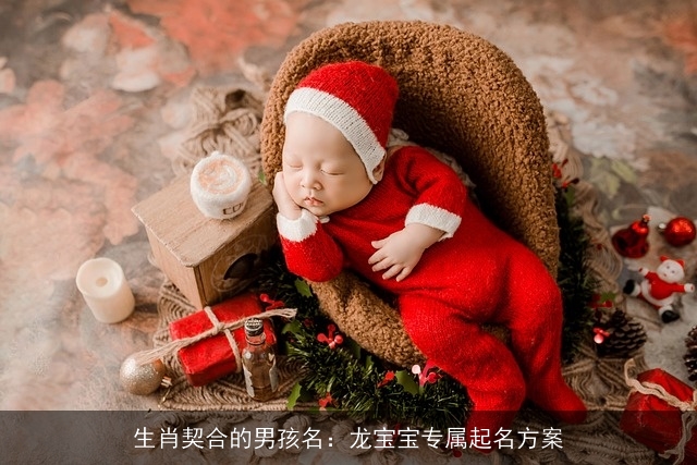 生肖契合的男孩名：龙宝宝专属起名方案