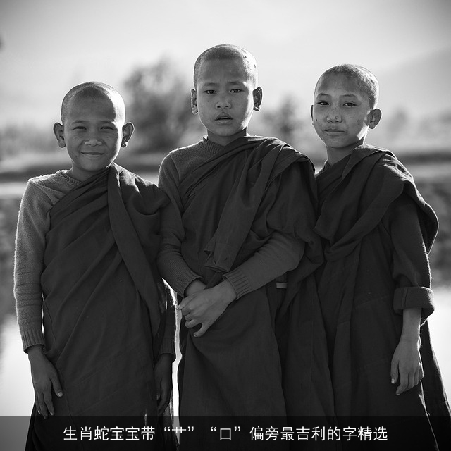 生肖蛇宝宝带“艹”“口”偏旁最吉利的字精选