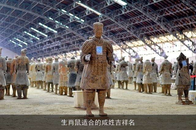 生肖鼠适合的咸姓吉祥名