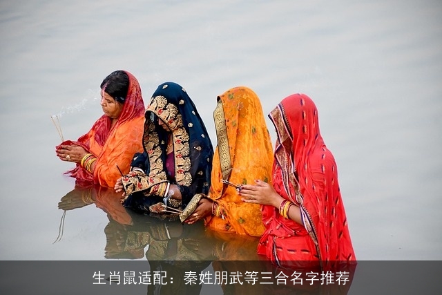生肖鼠适配：秦姓朋武等三合名字推荐
