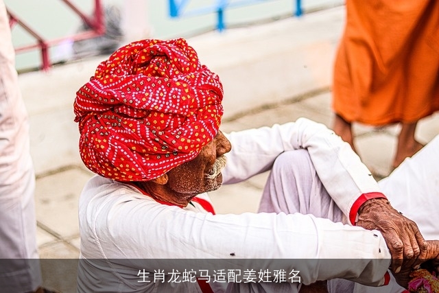 生肖龙蛇马适配姜姓雅名