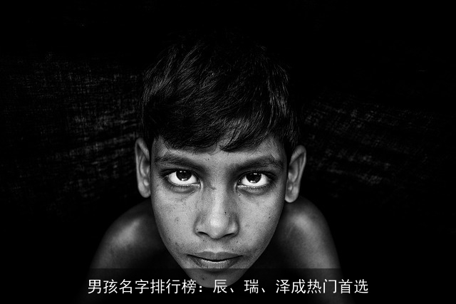 男孩名字排行榜：辰、瑞、泽成热门首选