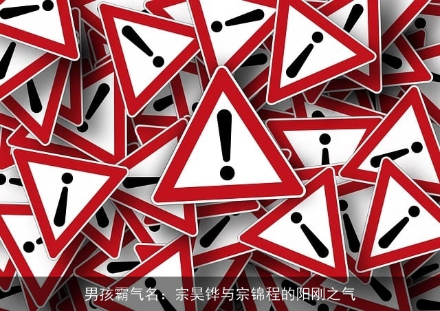 男孩霸气名：宗昊铧与宗锦程的阳刚之气