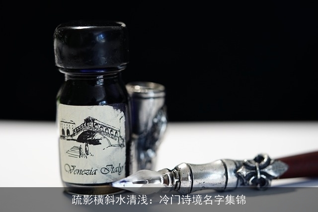 疏影横斜水清浅：冷门诗境名字集锦