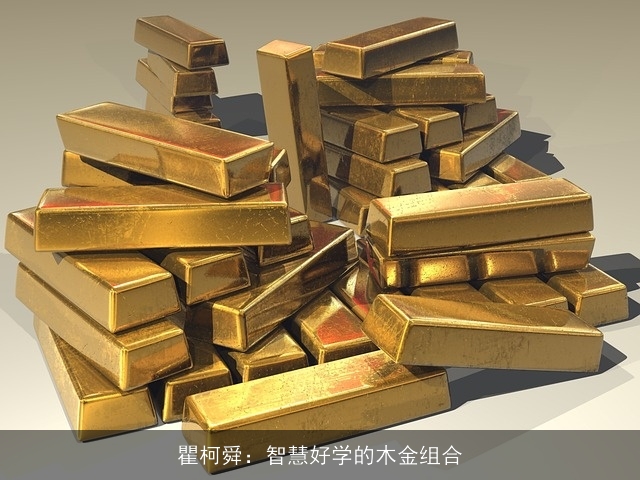 瞿柯舜：智慧好学的木金组合