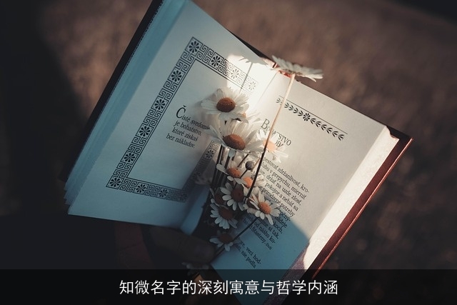 知微名字的深刻寓意与哲学内涵