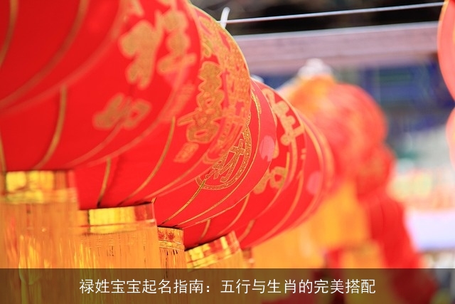禄姓宝宝起名指南：五行与生肖的完美搭配