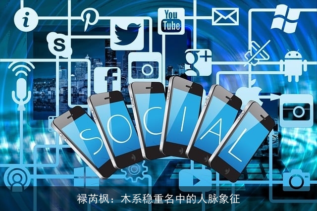 禄芮枫：木系稳重名中的人脉象征