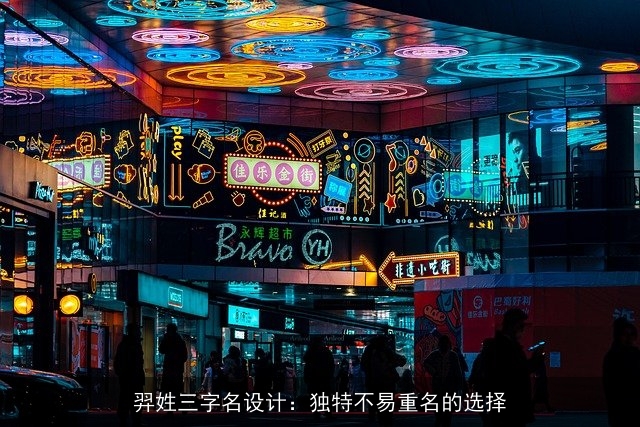 羿姓三字名设计：独特不易重名的选择