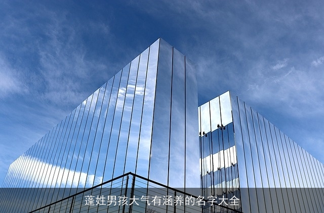 蓬姓男孩大气有涵养的名字大全