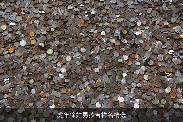 虎年徐姓男孩吉祥名精选