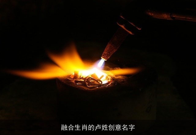 融合生肖的卢姓创意名字