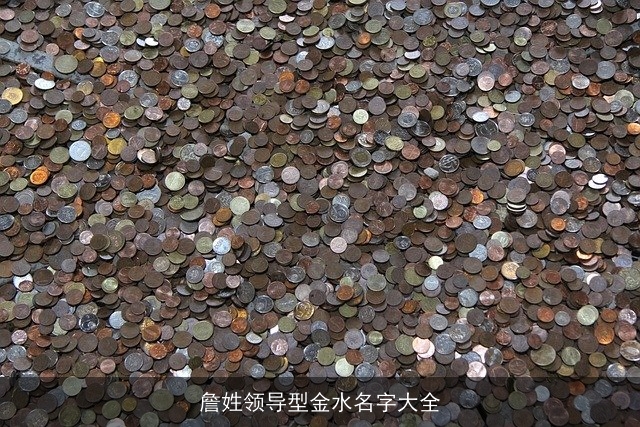 詹姓领导型金水名字大全