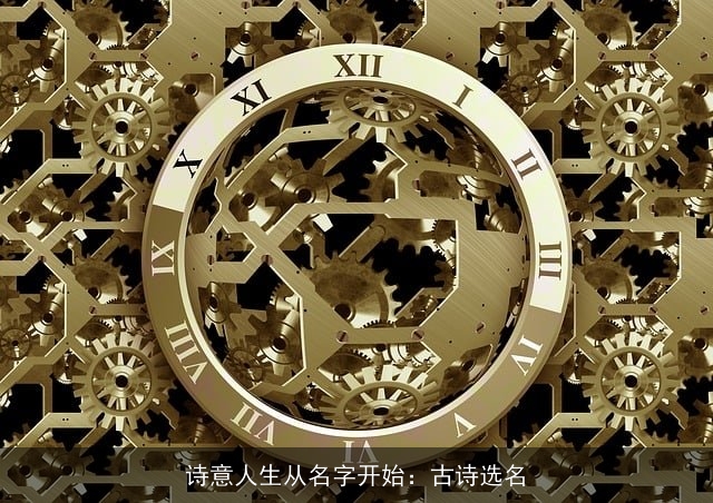 诗意人生从名字开始：古诗选名