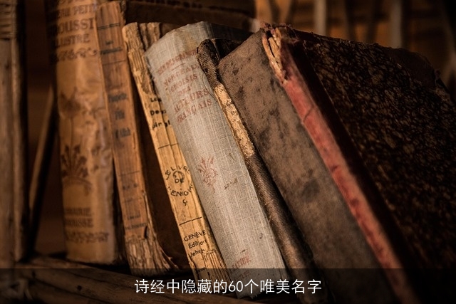 诗经中隐藏的60个唯美名字