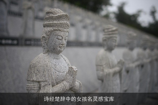 诗经楚辞中的女孩名灵感宝库