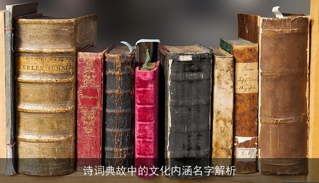 诗词典故中的文化内涵名字解析