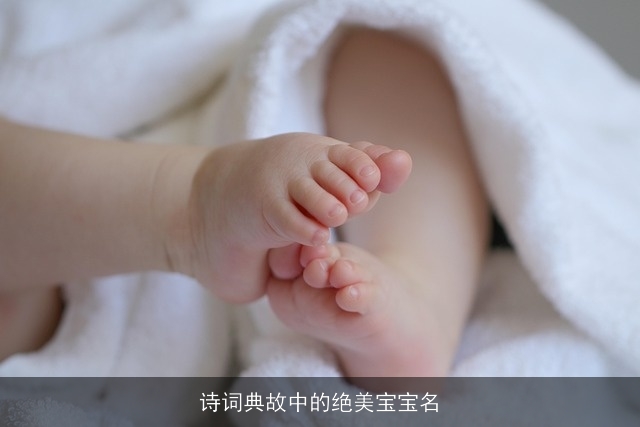 诗词典故中的绝美宝宝名