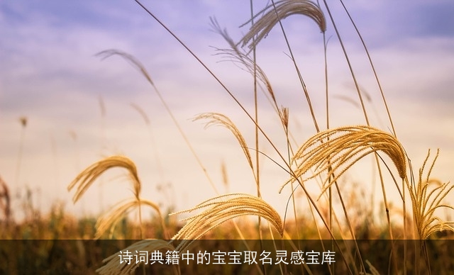 诗词典籍中的宝宝取名灵感宝库