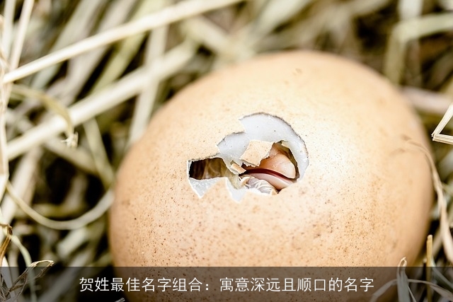 贺姓最佳名字组合：寓意深远且顺口的名字