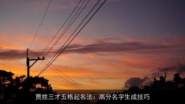 贾姓三才五格起名法：高分名字生成技巧