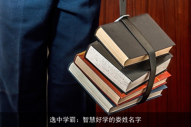 逸中学霸：智慧好学的娄姓名字