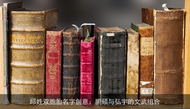 邱姓双胞胎名字创意：鹏硕与弘宇的文武组合