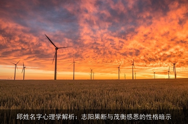 邱姓名字心理学解析：志阳果断与茂衡感恩的性格暗示