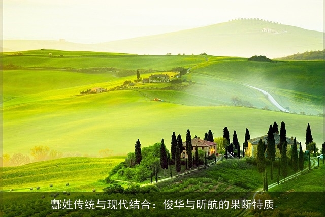 酆姓传统与现代结合：俊华与昕航的果断特质