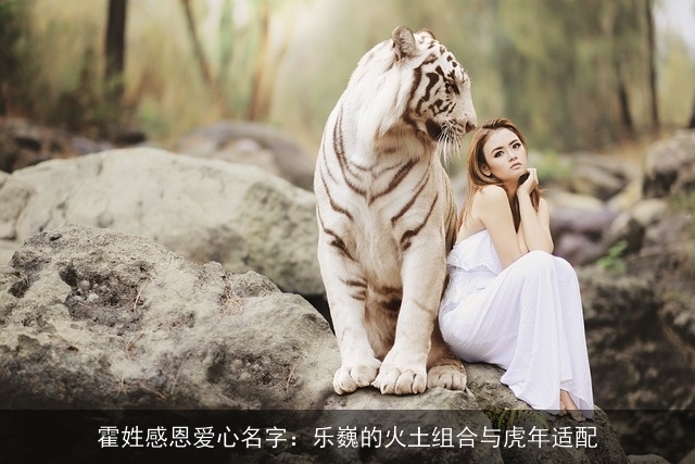 霍姓感恩爱心名字：乐巍的火土组合与虎年适配