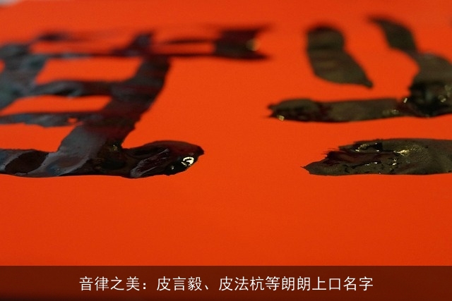 音律之美：皮言毅、皮法杭等朗朗上口名字
