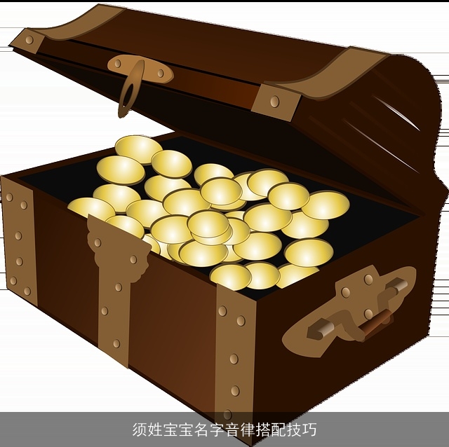 须姓宝宝名字音律搭配技巧