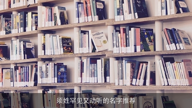须姓罕见又动听的名字推荐